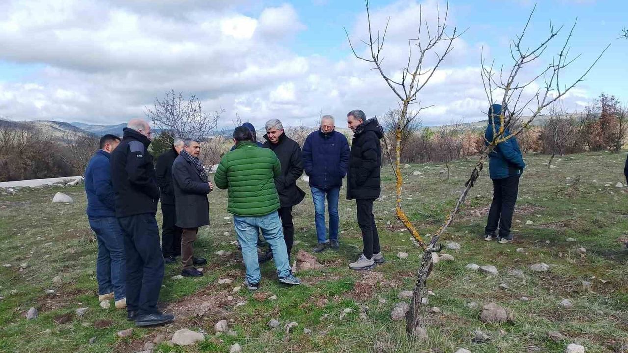 Yuntdağı'nda kırsal kalkınma atağı