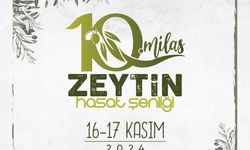 10. MİLAS ZEYTİN HASAT ŞENLİĞİ İÇİN GERİ SAYIM BAŞLADI