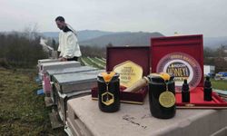 Dededen gelen arıcılığı profesyonelleştirdi, ürettiği bal dünyada zirveye çıktı