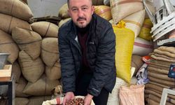 Giresun'da fındık fiyatı yılbaşına günler kala yükselişe geçti