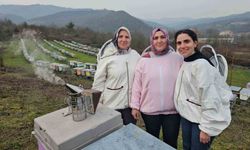 Zonguldak'ta anne ve kızları arıcılık mesleğiyle kestane balı üretiyor