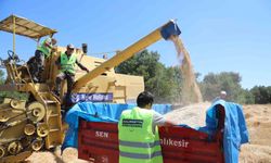 Bursa Büyükşehir, üreticiye nefes oluyor