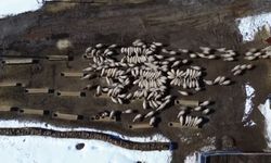 Bayburt'ta 50 milyon liralık yem desteği 2 bin 601 işletmeye ulaştı