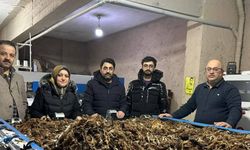 Erzurum'da atık yünler yeşil dönüşümle değer kazanıyor