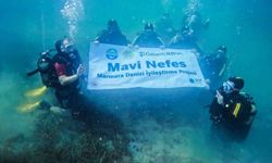 Garanti BBVA ve TURMEPA'dan 2025'te denizlerde dönüştürücü etki