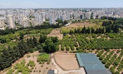 Türkiye son 20 yılda, Antalya'dan büyük tarım alanını kaybetti
