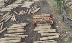 Düzce'den bin 909 ton orman ürünü ihraç edildi