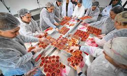 Mersin'de kan portakalı kadınların elinde değer kazanıyor