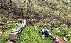 Artvin apiturizmde gelecek vadediyor