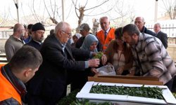 Atakumlu çiftçiye 100 bin sebze fidesi