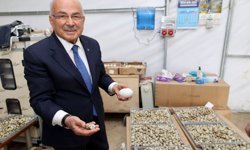 Başkan Güler: 'Ordumuza yeni bir sektör hazırlıyoruz'