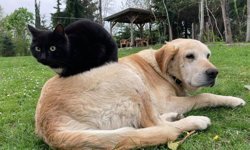 Düzce'de yılın ilk çeyreğinde 531,9 ton ihraç edildi