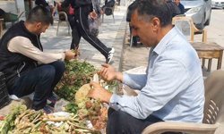 Elazığ'da bahar otları tezgahlarda yerini aldı