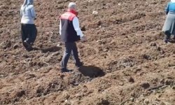 Elazığ'da domates üretiminde yeni sezon başladı