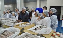 Geleceğin balıkçıları İzmir'de yetişiyor