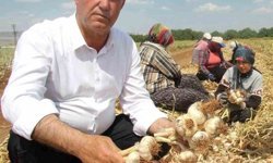 Hasan Altun'dan yüksek maliyetin düşürülmesi talebi