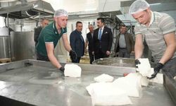 Her gün 3,5 ton sütten 12 çeşit peynir üretiyorlar