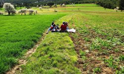Hisarcık'ta tarımsal saha çalışmaları yapıldı