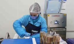 Kadın emeğiyle yükselen değer: Sinop lakerdası markalaşma yolunda