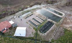 Kaynak suyunda yetişiyor, vatandaş taze taze alıp gidiyor