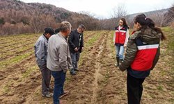 Kütahya'da yüzde 75 hibeli ahududu bahçelerinde kontroller gerçekleştirildi