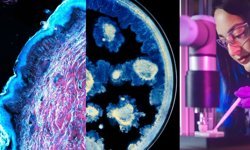 L'Oréal ve Institut Pasteur'den cilt sağlığı biliminde iş birliği