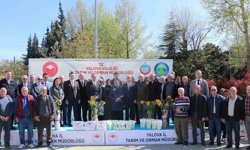 Yalova'da çiftçiye ayçiçeği ve fasulye tohumu desteği