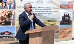 Arabanlı üreticilere Yüzde 90 Hibeli Sıvat