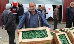 Bingöl'de 330 bin sebze fidesi üreticilere dağıtıldı