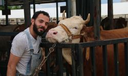 Denizli kurban pazarı müşterilerini bekliyor