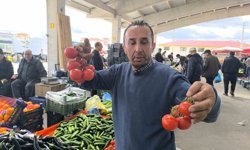 Domates fiyatlarının yüksek olmasının sebebi soğuk hava