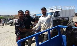 Kilis'te kurbanlık pazarında hareketlilik arttı