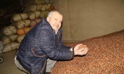 Kurban Bayramı öncesi fındık fiyatları geriledi