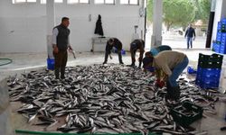 Muğla'nın Nisan ayı ihracatı 108 Milyon doları aştı
