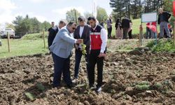 Pazarlar'da atıl durumdaki hazine arazisi tarıma kazandırıldı
