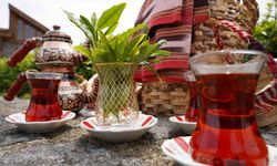 Rize'de Dünya Çay Günü etkinliği