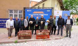 Samsun'da üreticiye yüzde 50 hibeli kaz palazı desteği