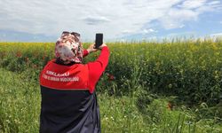 Tarlalarda dijital tarım çalışmaları