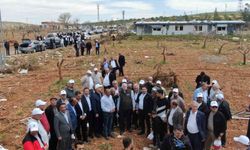 Türkiye Ziraat Odaları Birliği Genel Başkanı Bayraktar'dan zarar gören çiftçilere ziyaret