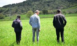 Manisa Büyükşehir'in toprakla buluşan tohumları yeşerdi