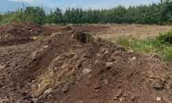 Organik gübre fiyatları geçen yıl ile aynı