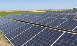 Edirne'de üreticiler tarlasını dronla ilaçlıyor, güneş enerjisiyle suluyor