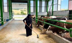 Gediz'de 12 milyon TL'lik büyükbaş besi işletmesi faaliyete geçti