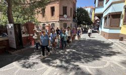 Havran'da siyah incir hasadı turizme açıldı