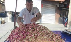 Şanlıurfa'da yeni mahsul fıstık tezgahlardaki yerini aldı