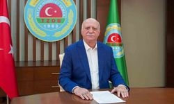 Ağustos ayında fiyatı en fazla düşen ürün markette sivri biber, üreticide limon