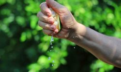 Karadeniz'de gemi trafiği durdu, Adana'da limon ve mandalina dalında kaldı