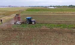 Muş ekonomisine pancardan 2 buçuk milyar TL'lik katkı