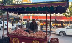 Şanlıurfa'da fıstık satışında bu yıl TEKNOFEST bereketi yaşandı