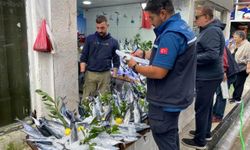 Sinop'ta balık satış yerleri denetlendi